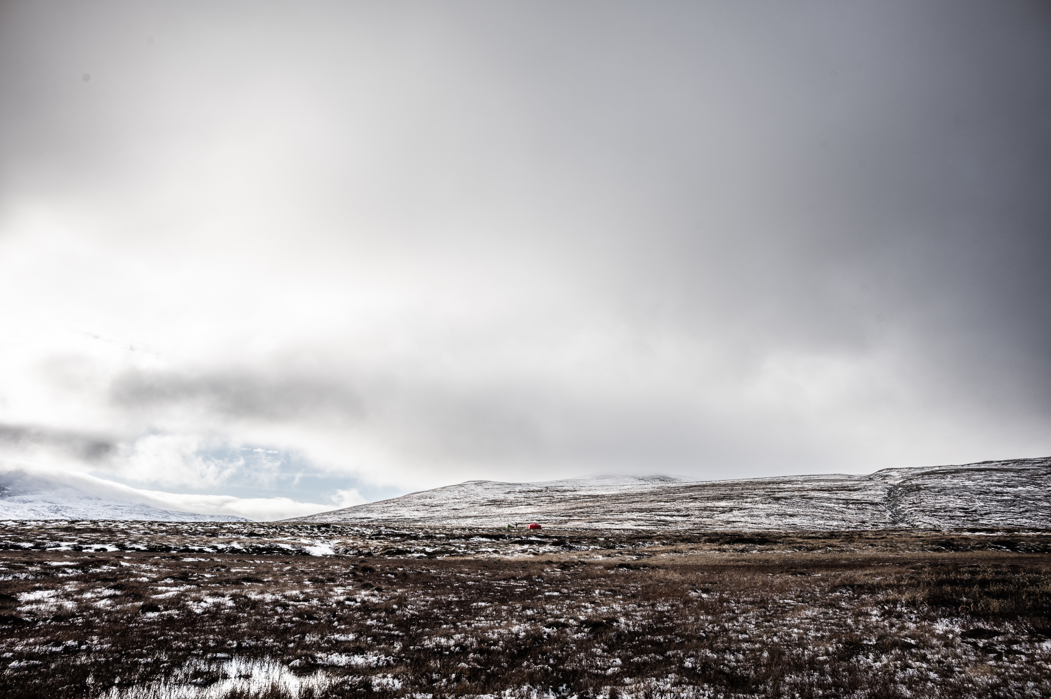 Die Weite des Dovrefjell