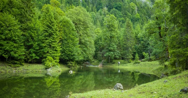 Ständig stetig ruft der Aufbruch in mir
Kann nicht essen, kann nicht schlafen
Vom beeilen und nicht warten
Vom zu viel und noch viel mehr

📸 by @visualmotion.de

#rosenbuben #friederspitz #nature #justgoshoot